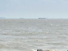 -吴淞炮台湾湿地森林公园烧烤区