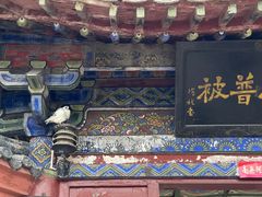 -洛阳白马寺