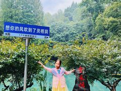 -灵栖洞天