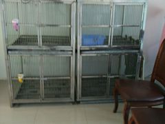 -艾吉宠物医院·疑难杂症转诊中心·猫友好(碧江路院)