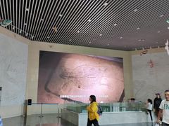 -房山世界地质公园博物馆