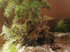 -湘邻呷铺·田园家宴(汉基广场店)