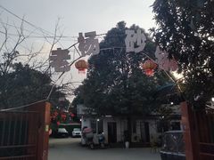 -老杨砂锅鱼庄