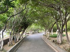 -烟台山景区