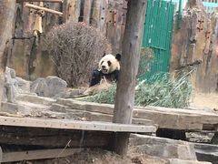 -大连森林动物园