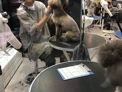 -宠物世家(仲盛世界商城店)