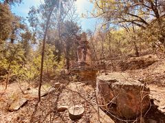 -北京鹫峰国家森林公园