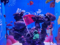 -烟台海昌鲸鲨海洋公园