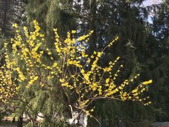 -玲珑塔公园