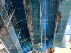 -宾朋海鲜特色美食餐厅·纯手工鲅鱼水饺(兴海路店)