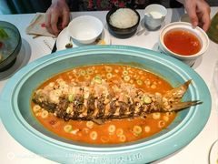 -阿五黄河大鲤鱼(英协路店)