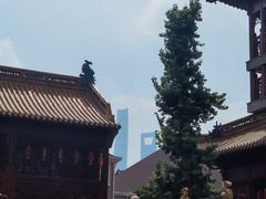 -钦赐仰殿道观