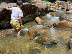 -广州白江湖森林公园