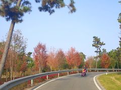 -南京枫彩漫城