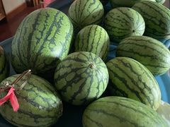 -庞各庄翠芳园西瓜蔬菜基地采摘园