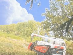 -嘉北郊野公园