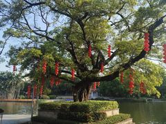 -荔湾湖公园