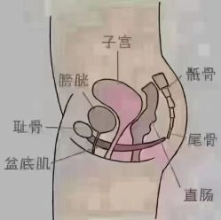 -天姿美容·美体科技SPA·艾姿美店