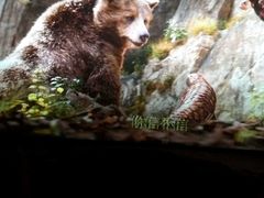 -万达影城(潍坊万达广场IMAX店)