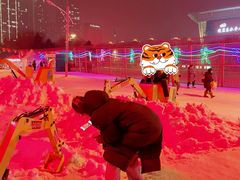 -沈阳奥体冰雪嘉年华