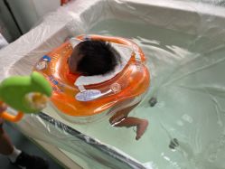 -蔓馨宜母婴护理中心(橡树星座店)