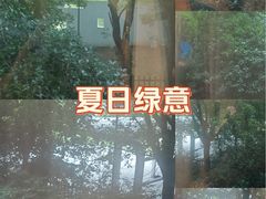 -上海智力产业园