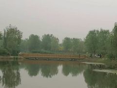 -东郊湿地公园