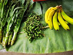 -西双版纳傣族园