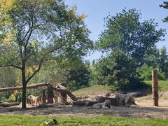 -北京野生动物园