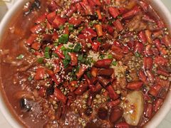 -北李·海肠捞饭·大连菜(望京凯德MALL店)