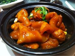 花胶-陶陶居海鲜酒家(新马路店)