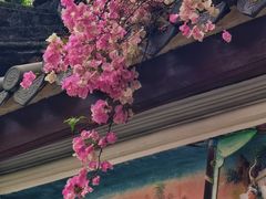 -深圳国际园林花卉博览园