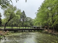 -长广溪湿地公园