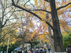 -四川大学(华西校区)