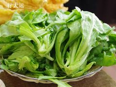 茼蒿-潮汕美牛肉丸火锅店(天宁寺店)
