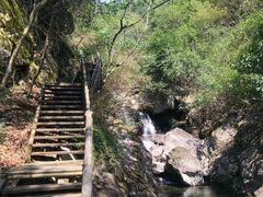 -东天目山风景区