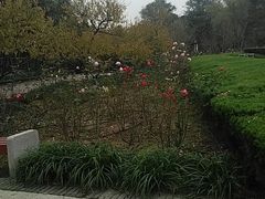 -荆川公园