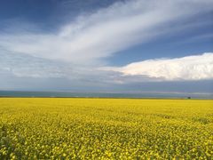 -青海湖国家重点风景名胜区