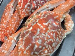 -四川小胡子海鲜(丁村万人海鲜广场店)