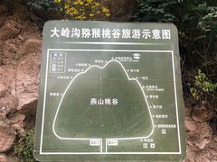 -大岭沟猕猴桃谷风景区