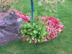 -南京外国语学校(仙林分校西区)