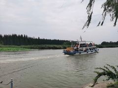-微山湖红荷湿地景区