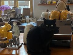 -春风十里咖啡馆