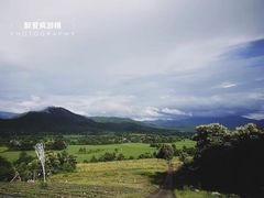 -黄色小屋