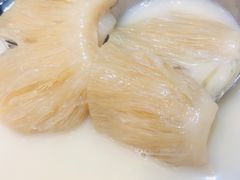-凤城礼记鱼翅海鲜酒家(新马路总店)
