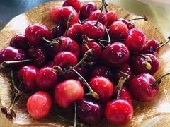 -鲤鱼塘农家山庄