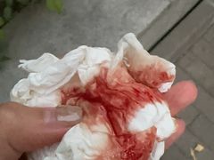 -中国中医科学院望京医院(院本部)