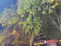 -王老六铁锅炖鱼(华阳路店)