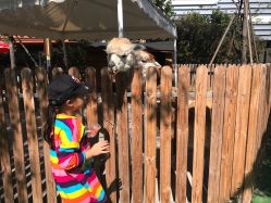 -萌宠亲子动物乐园(槐房万达店)