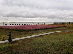 -坝上草原大汗行宫旅游景区
